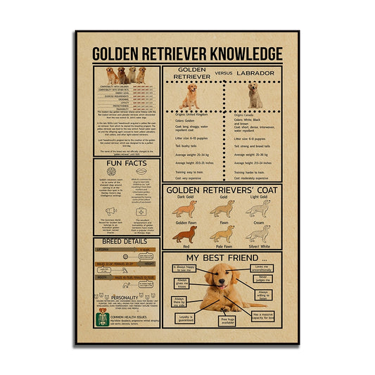 Golden Retriever Knowledge Vintage Frameless Poster, Golden Retriever Anatomy Poster, Golden Retriever Lover Gift